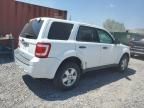 2010 Ford Escape XLS