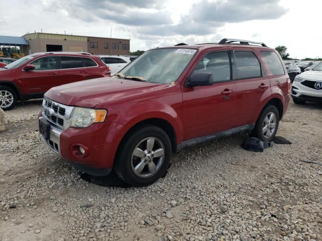 2011 Ford Escape Limited