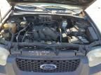 2006 Ford Escape XLT