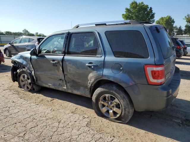 2010 Ford Escape Limited