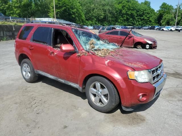 2011 Ford Escape Limited