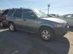 2007 Ford Escape XLT