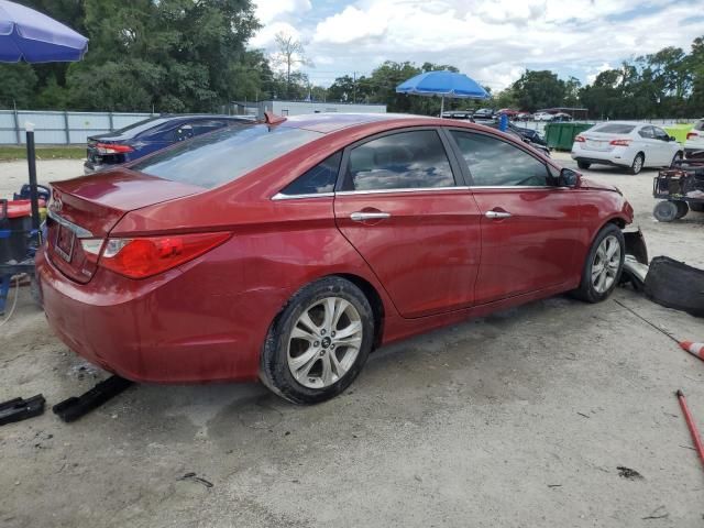 2011 Hyundai Sonata SE