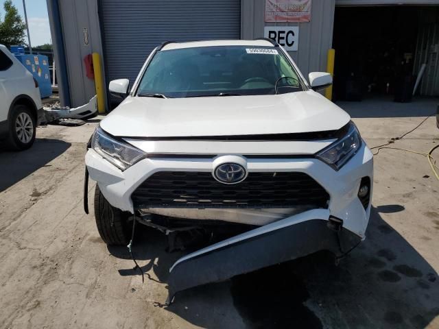 2019 Toyota Rav4 XLE