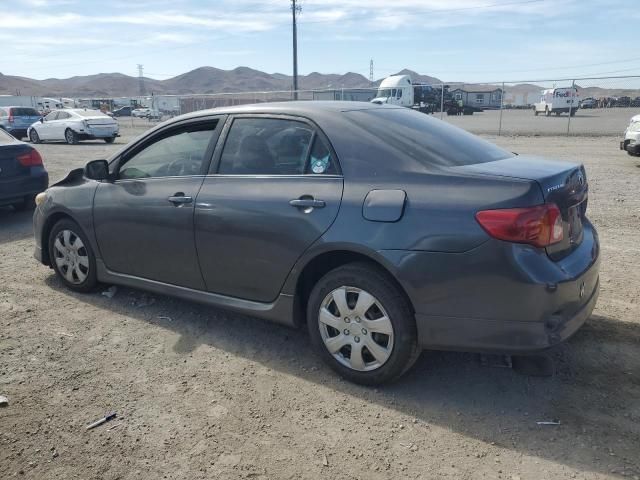 2009 Toyota Corolla Base