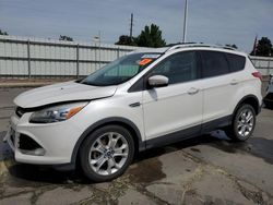 Salvage cars for sale at Littleton, CO auction: 2013 Ford Escape Titanium