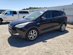 Salvage cars for sale from Copart Anderson, CA: 2016 Ford Escape Titanium