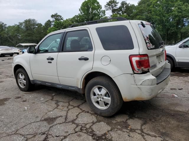 2011 Ford Escape XLT