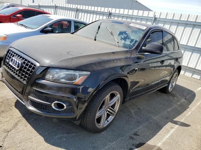 2010 Audi Q5 Premium Plus