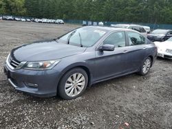 Honda Accord exl Vehiculos salvage en venta: 2013 Honda Accord EXL