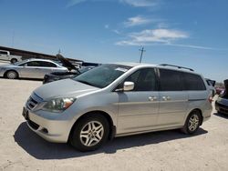 Salvage cars for sale at Andrews, TX auction: 2005 Honda Odyssey EX