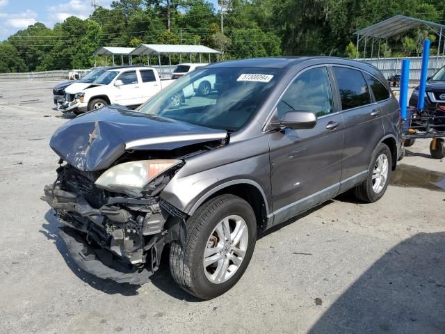 2010 Honda CR-V EXL