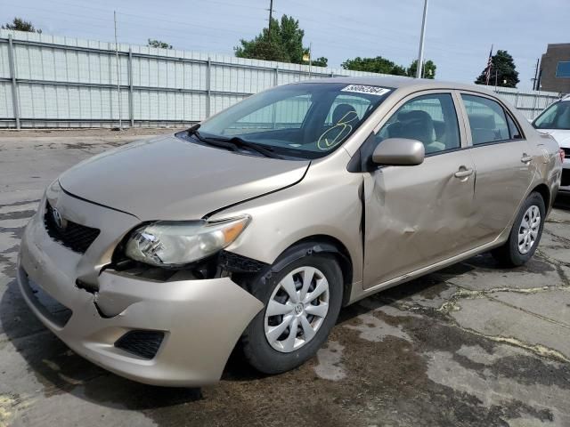 2009 Toyota Corolla Base