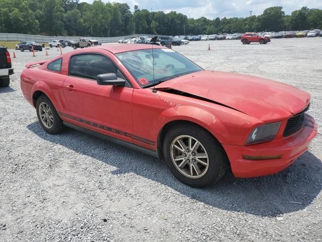 2005 Ford Mustang