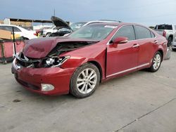 Lexus ES 350 salvage cars for sale: 2010 Lexus ES 350