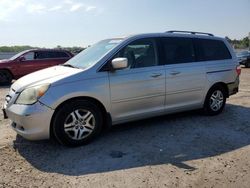 Honda Odyssey ex salvage cars for sale: 2005 Honda Odyssey EX