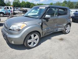 Vehiculos salvage en venta de Copart Grantville, PA: 2010 KIA Soul +