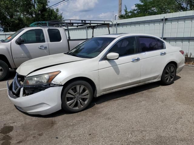 2010 Honda Accord EXL