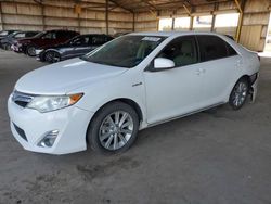 Salvage cars for sale from Copart Phoenix, AZ: 2014 Toyota Camry Hybrid