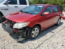 Salvage cars for sale from Copart Houston, TX: 2010 Toyota Corolla Base