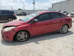 Salvage cars for sale at Jacksonville, FL auction: 2014 Ford Focus SE