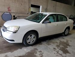 Salvage cars for sale from Copart Blaine, MN: 2005 Chevrolet Malibu LS