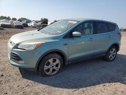 Salvage cars for sale at Pennsburg, PA auction: 2013 Ford Escape SE