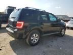 2010 Ford Escape Limited