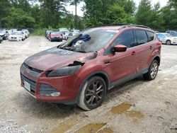 Salvage cars for sale at Gaston, SC auction: 2014 Ford Escape SE