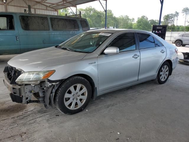 2009 Toyota Camry Hybrid