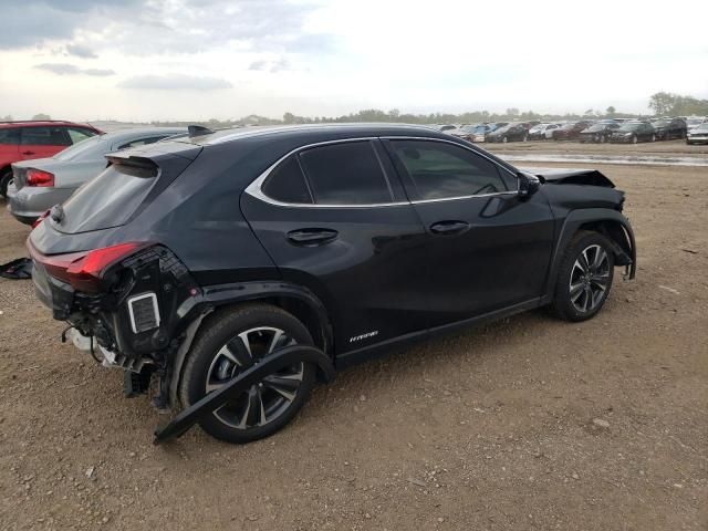 2021 Lexus UX 250H