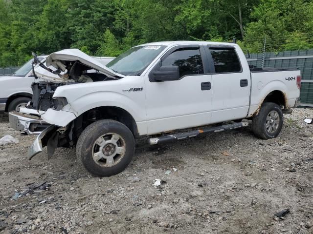 2009 Ford F150 Supercrew