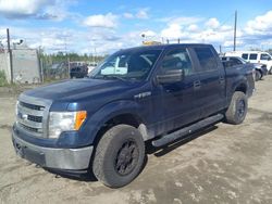 Salvage cars for sale from Copart Anchorage, AK: 2013 Ford F150 Supercrew