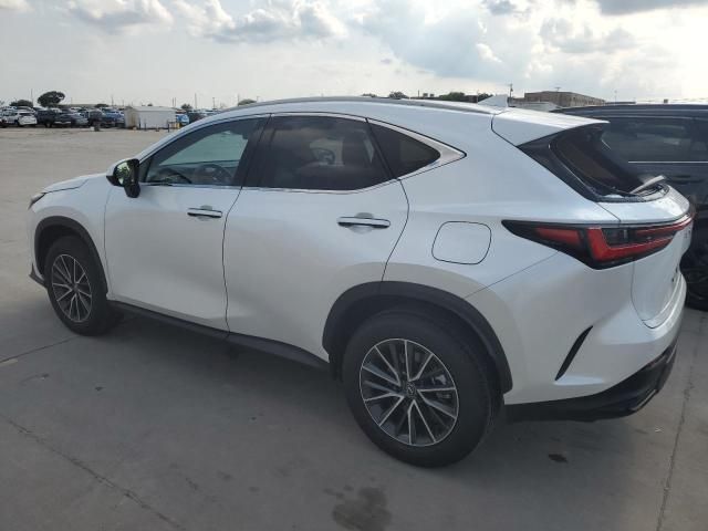 2024 Lexus NX 350H Base