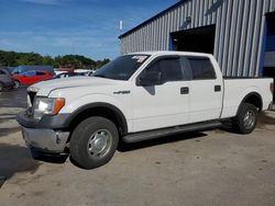 Ford f-150 Vehiculos salvage en venta: 2010 Ford F150 Supercrew