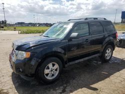 Ford salvage cars for sale: 2012 Ford Escape XLT