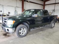 Salvage trucks for sale at Billings, MT auction: 2013 Ford F150 Supercrew