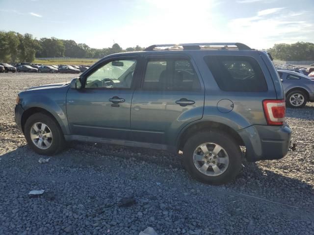 2010 Ford Escape Limited