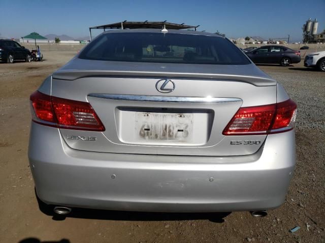 2010 Lexus ES 350