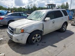 Carros con verificación Run & Drive a la venta en subasta: 2010 Ford Escape Limited