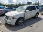 2010 Ford Escape Limited