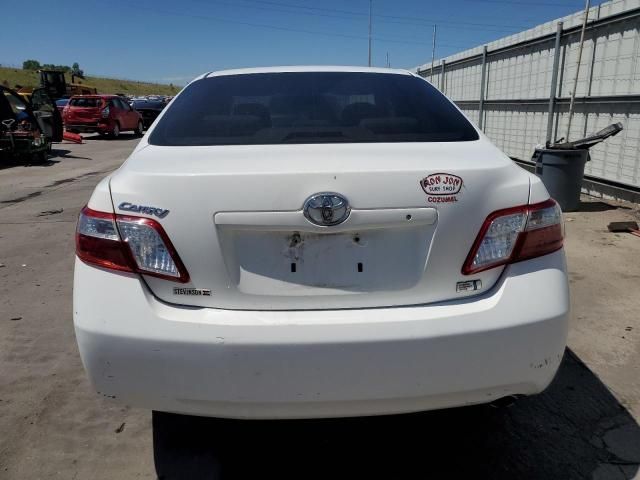 2009 Toyota Camry Hybrid