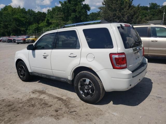 2011 Ford Escape Limited