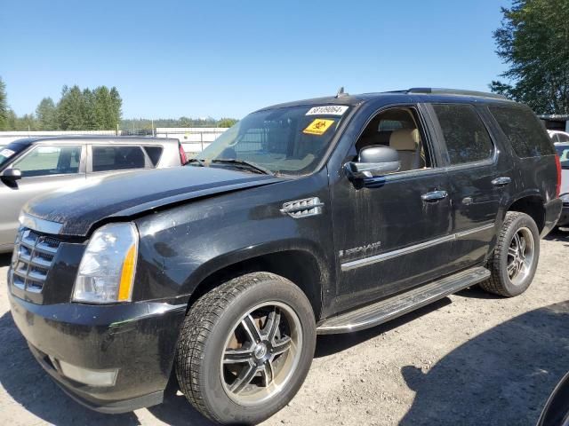 2007 Cadillac Escalade Luxury