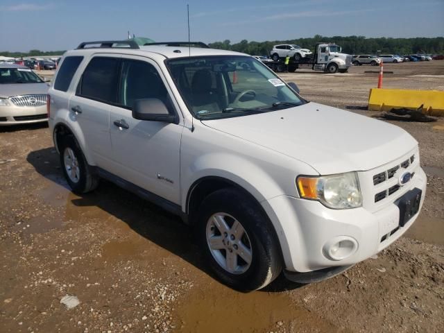 2010 Ford Escape Hybrid