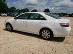 2009 Toyota Camry Hybrid