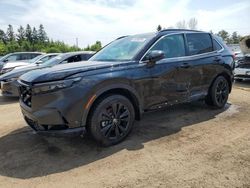 Salvage cars for sale from Copart Bowmanville, ON: 2024 Honda CR-V Sport Touring