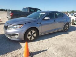 Salvage cars for sale at Houston, TX auction: 2011 KIA Optima Hybrid