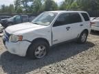 2008 Ford Escape XLT