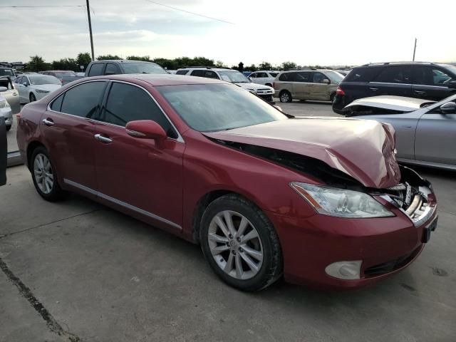 2010 Lexus ES 350